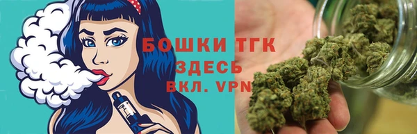 прущие крисы Верея